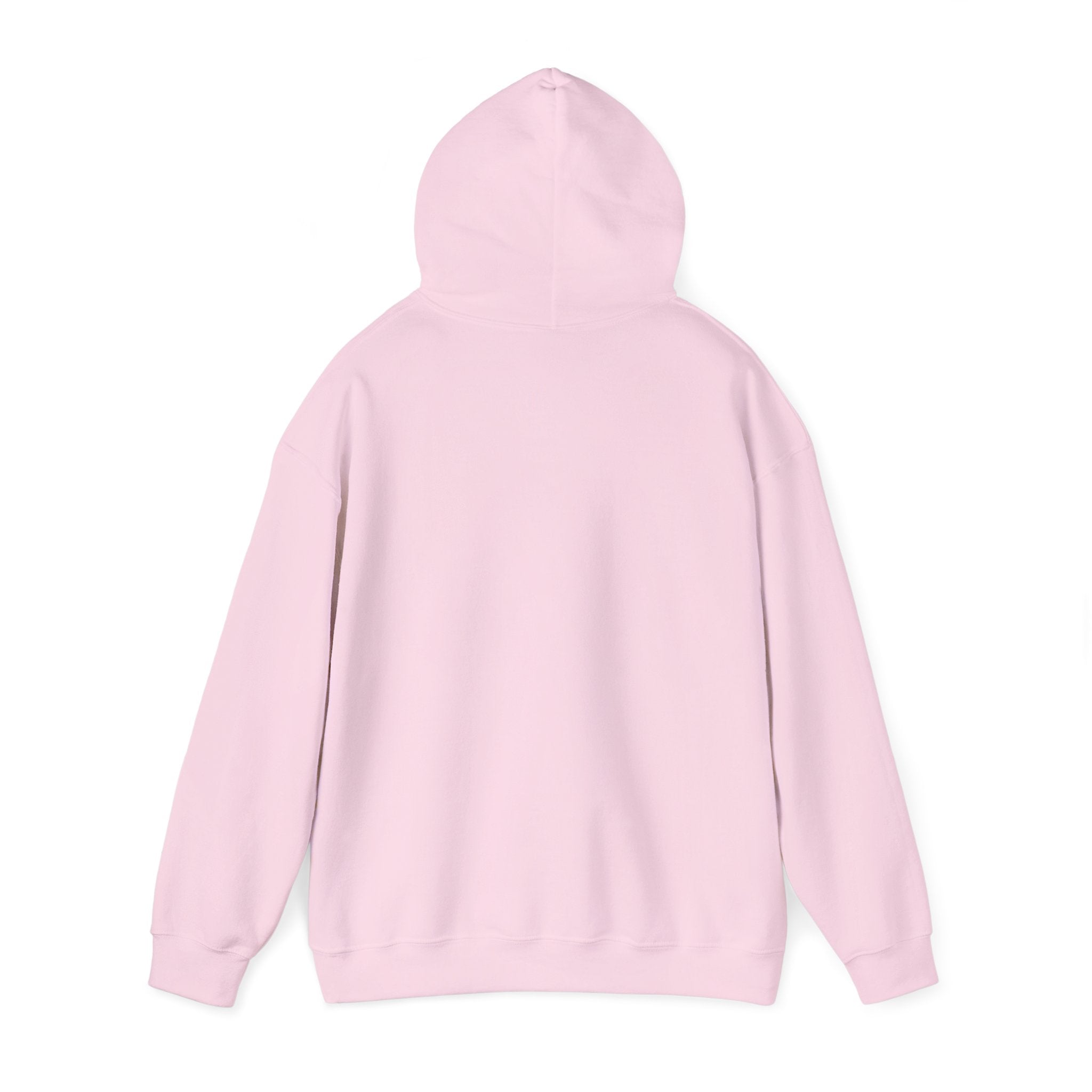 Eat Sleep Launch Hoodie