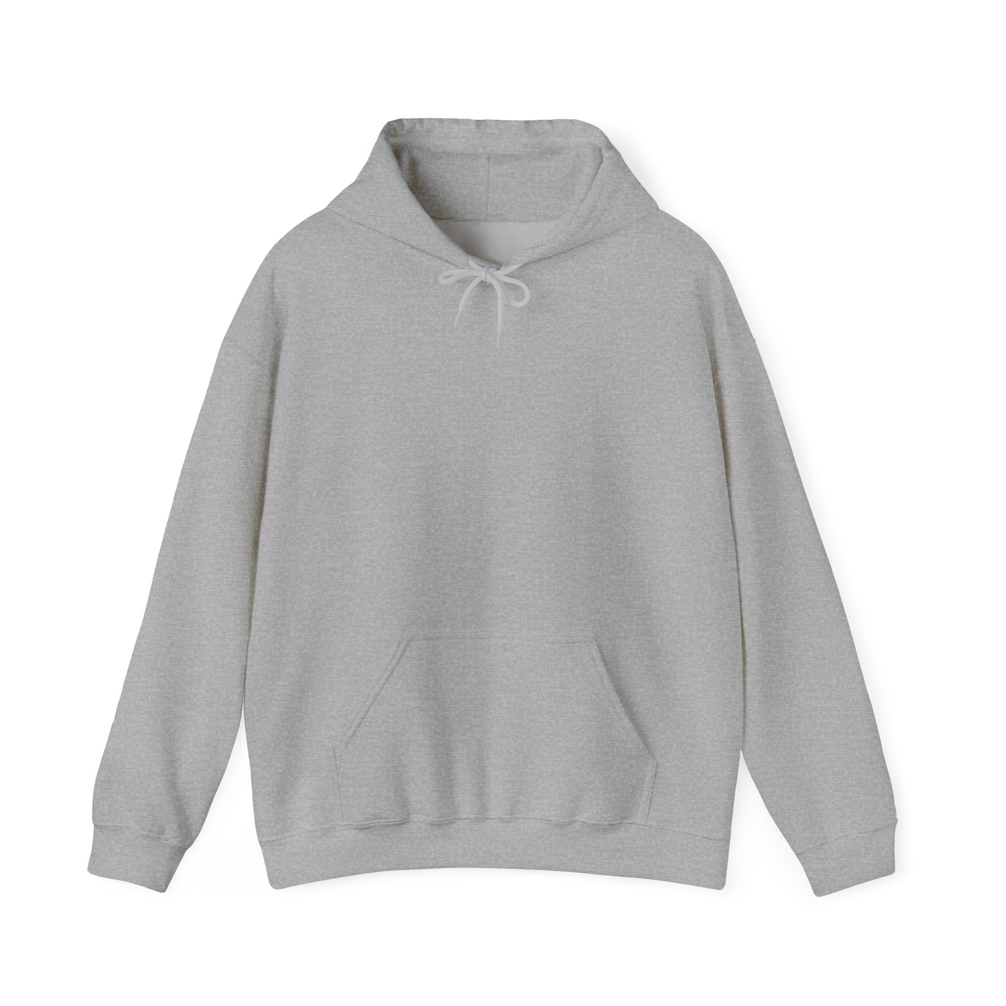 Queue Lines Hoodie